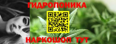 кокс Нарткала