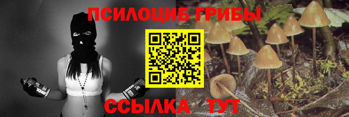 Галлюциногенные грибы мухоморы Дальнегорск